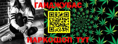 гашик Берёзовский