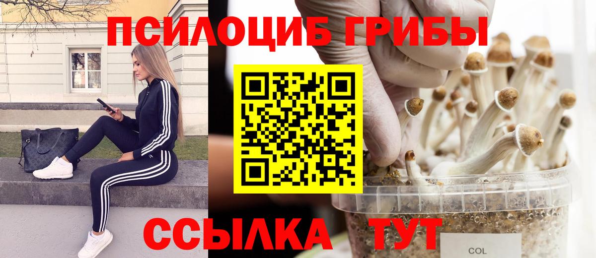 Ипатово  Псилоцибиновые грибы ЛСД  Вход с VPN 