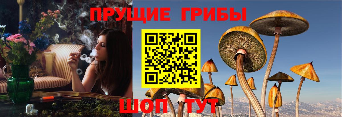 Псилоцибиновые грибы ЛСД Ипатово
